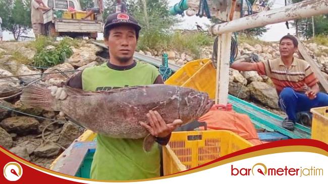 Gencar Promosikan Program Gemarikan, Angka Konsumsi Ikan di Lamongan&nbsp;Meningkat!